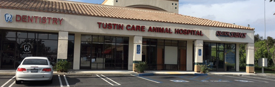 Tustin Care Animal Hospital Storefront