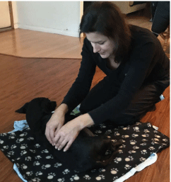 Canine Massage by Tracy